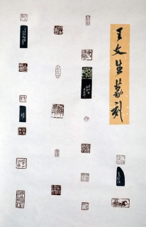 鷨-