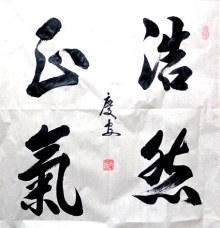 鷨-찲