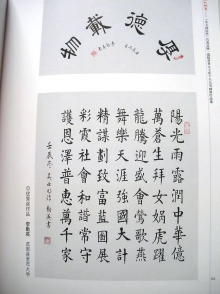 鷨-Ӣ