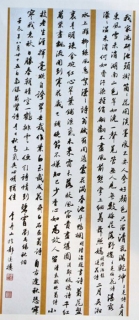 鷨-ɽ