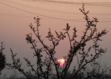 -yaojiouliang