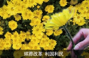 ĸ 