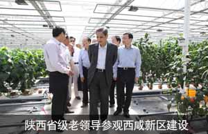 陕西省级老领导参观西咸新区建设