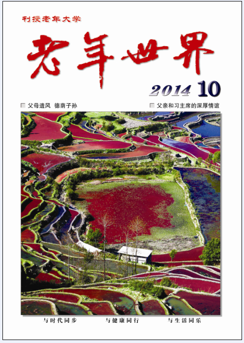 本期封面