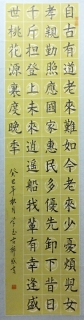 鷨-ѧ