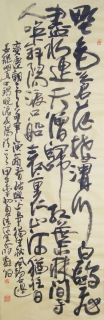 鷨-ţ