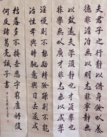 鷨-찲
