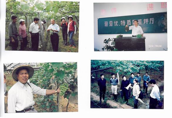 【福建】南平市农办退休干部谢福鑫先进事迹