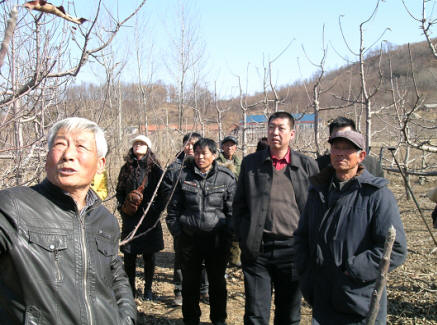 【辽宁】在那桃花盛开的地方——记全国科普惠农兴村带头人曹学春