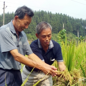 �����ϡ�ʡũҵ��ѧԺ���ݸɲ�����¯