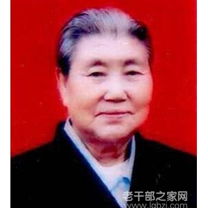 ����������ͭ��ƽͭ�����ݸɲ�����֥