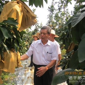 ��������ƽ�������ݸɲ��ƶ���