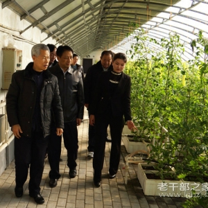 �����ա����������ݸɲ��´���