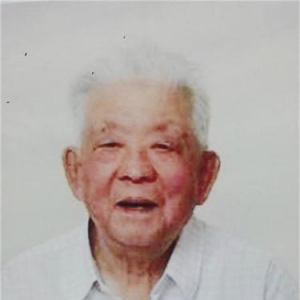 ����ֱ������ί�й�����������ͨ��˾ԭ��ί��Ǻ�����