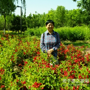 ����ֱ������ί���������ݸɲ����ܽ���