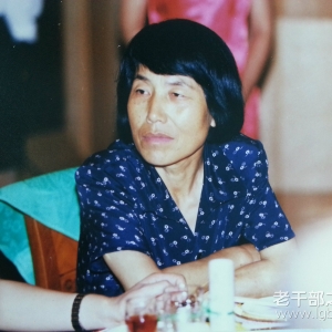 �����֡���ԭ�����ݸɲ�������