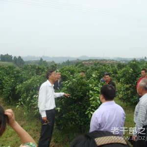 ���Ĵ������������칫�����ݸɲ�������