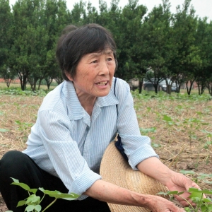 ��������֦����ũ���ƹ��������ݸɲ�����Ӣ