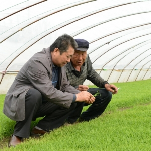 �����ɹš��˰����Ͽ�ѧ����Э���������»�