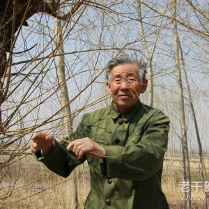 �����֡�ʡ��������������־����ݸɲ�������