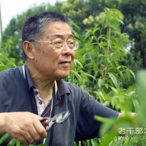 �����ա��������ݸɲ����Ƿ�