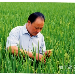 �����ա�ũ��Ժ���ݸɲ��޽�ʯ