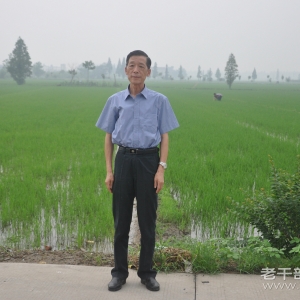 �����ա�̩�������ݸɲ�������