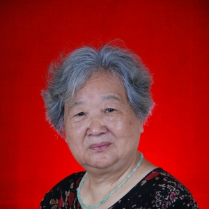 ����ֱ���й����ٽ���ʡ�ֹ�˾���ݸɲ�����