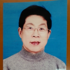 ����ֱ���й����ӿƼ����Ź�˾��13�о������ݸɲ�����