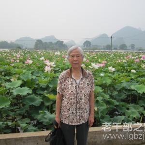 �����������ֹ����������������ݸɲ�������