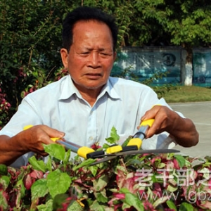 ����������ɽ����������ݸɲ�������