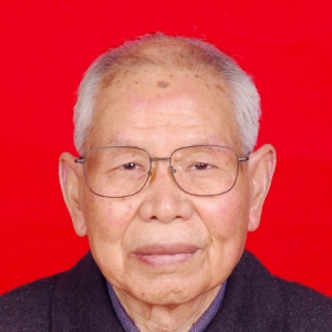 �����ࡿʡ�������������ݸɲ����չ�