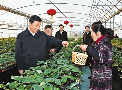 习近平在江苏调研期间与全国离退休干部先进个人赵亚夫亲切交谈
