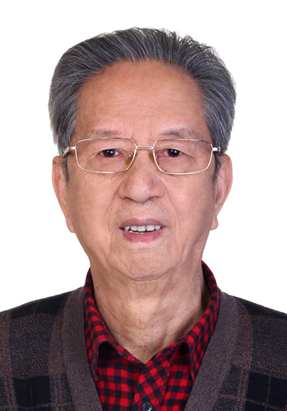 杨辛