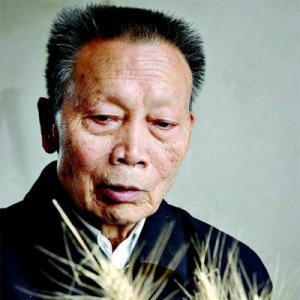 �����������������ݸɲ�������