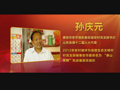 东平县彭集街道安村党支部书记孙庆元—农村党组织书记工作案例第二集