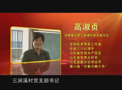 章丘市三涧溪村党支部书记高淑贞——农村党组织书记工作案例