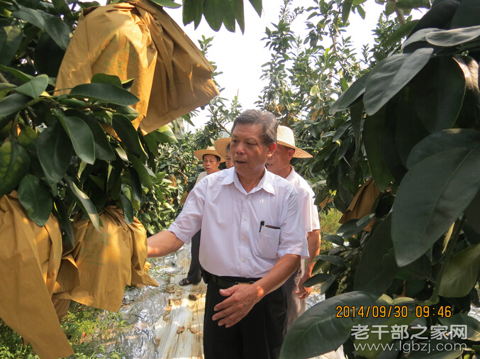 黄东来