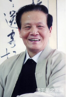 杨启村