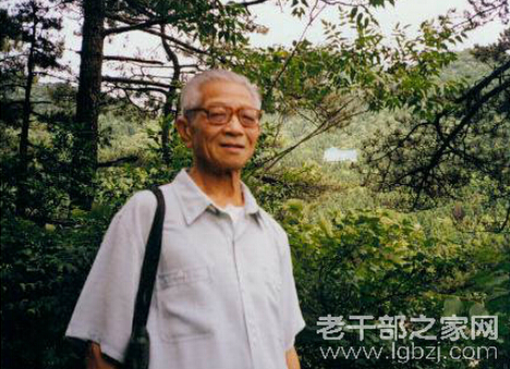 黄枢