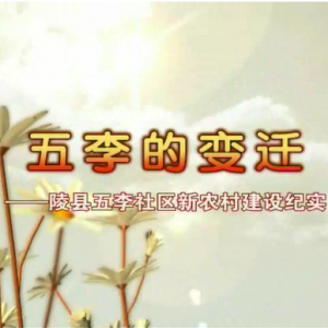 ıǨũ彨ʵ