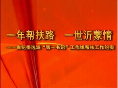 一年帮扶路一世沂蒙情——记山东省纪委派驻莒南县相沟乡“第一书记”工作纪实