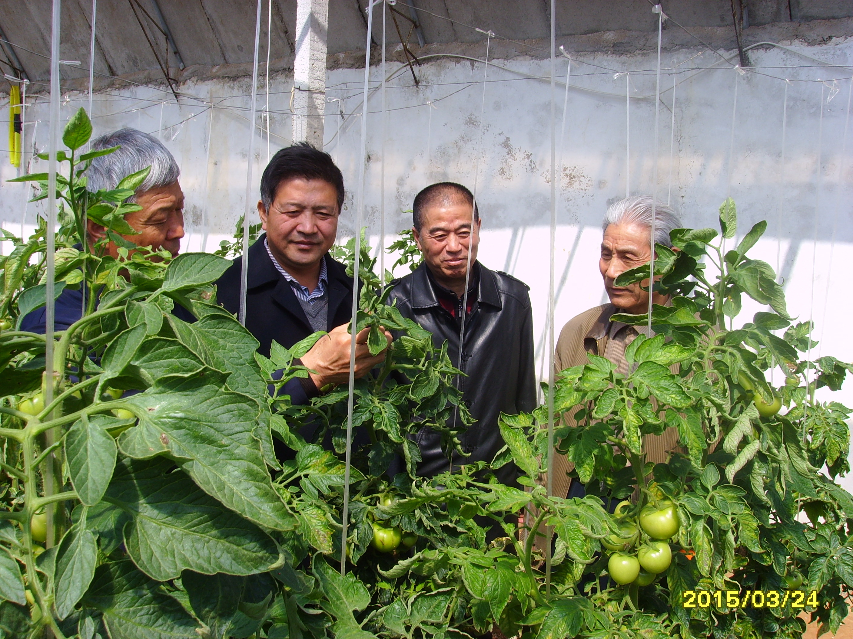 黄岛区老干部志愿者服务总队组织开展送科技下乡活动