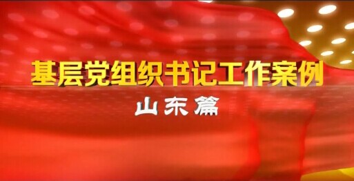 章丘市三涧溪村党支部书记高淑贞——农村党组织书记工作案例——第一集