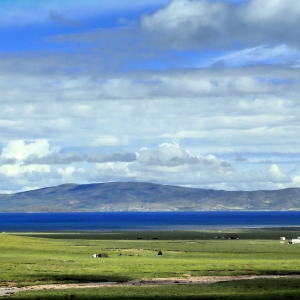 ��Ӱ��Ʒ����ľ�������ơ�