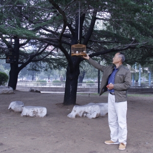 ��ף���й�����65������Ӱ��Ʒ����Ȥ�������������֡�