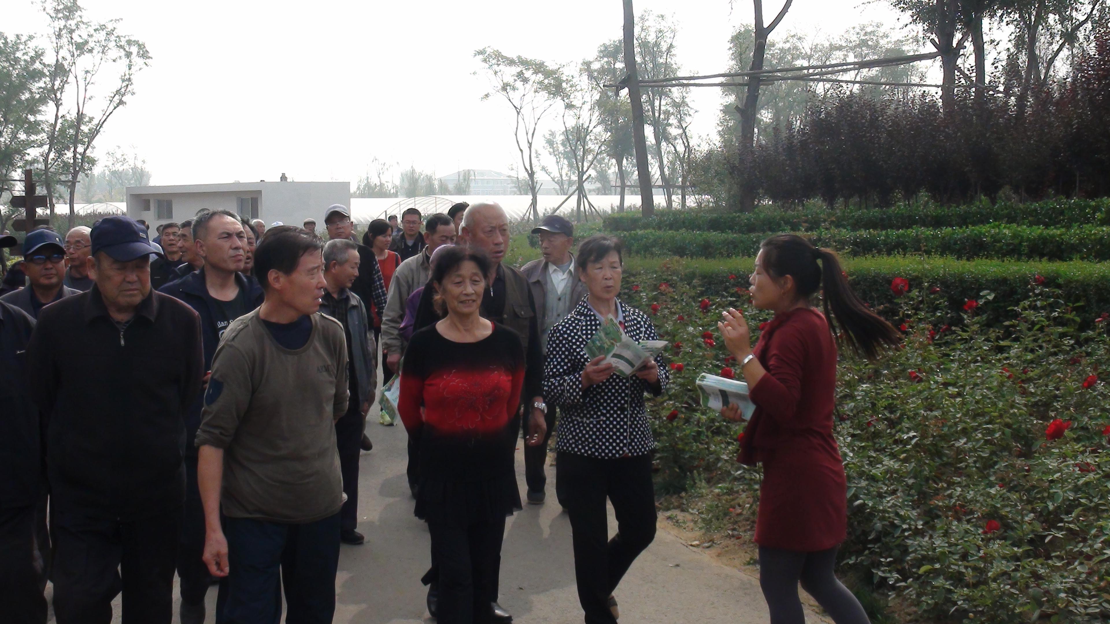 重阳佳节 现代农业迎来“老朋友” ——莱西市离退休老干部参观现代农业