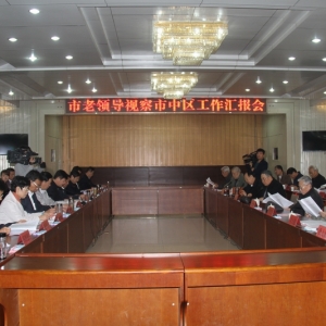 ί֯쵼Ӳоᷢչ