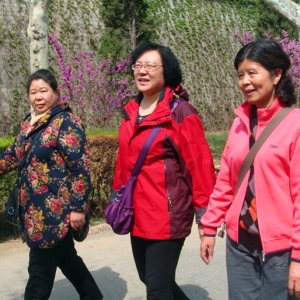 �������Ͻ���������Э����֯�Ͻ�Э�����ߴ��λ