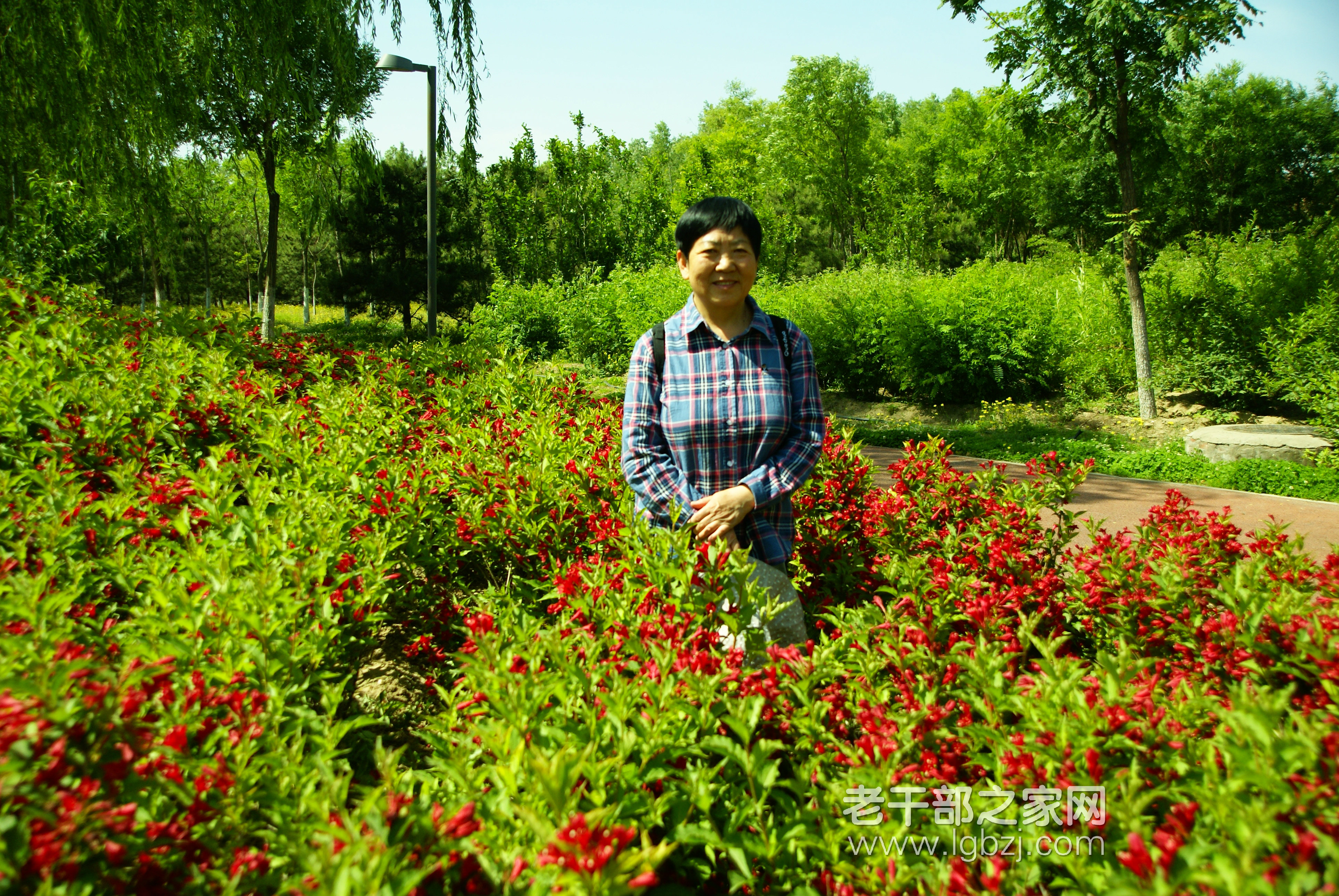 周建军：肩上有责任，退休不褪色